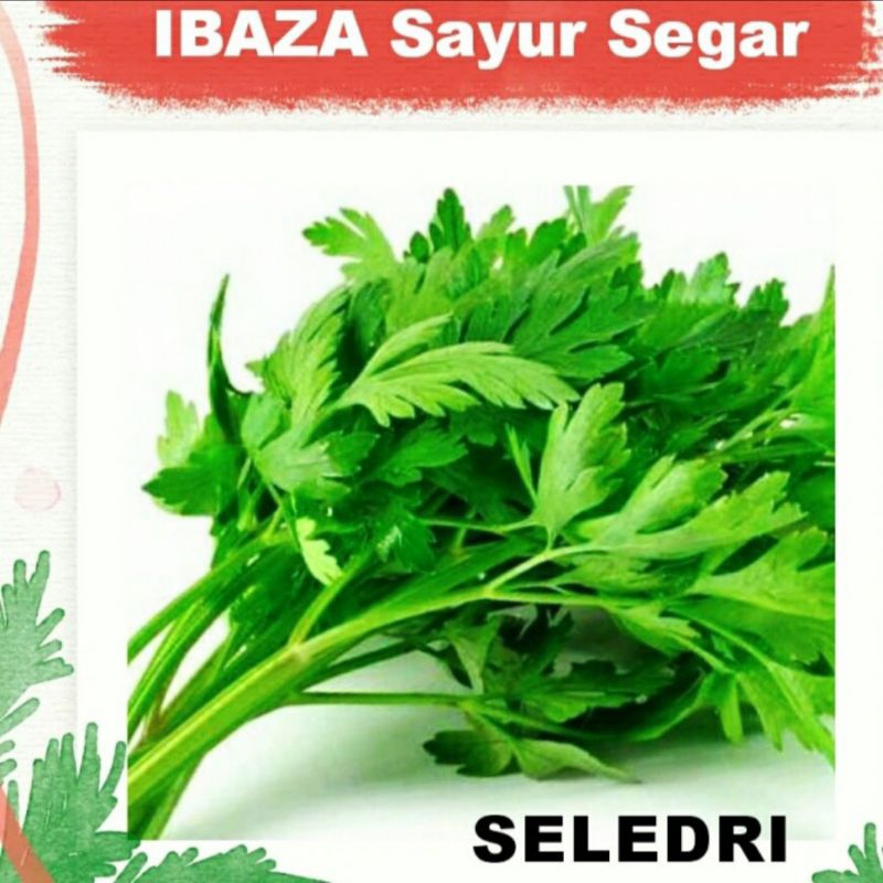 

Sayur Seledri Sayuran Segar IBAZA fruitsBOX