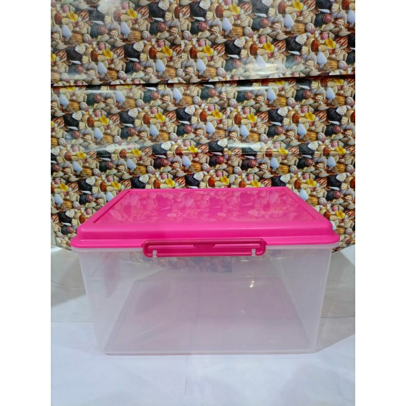 CONTAINER  BOX SERBAGUNA LION STAR