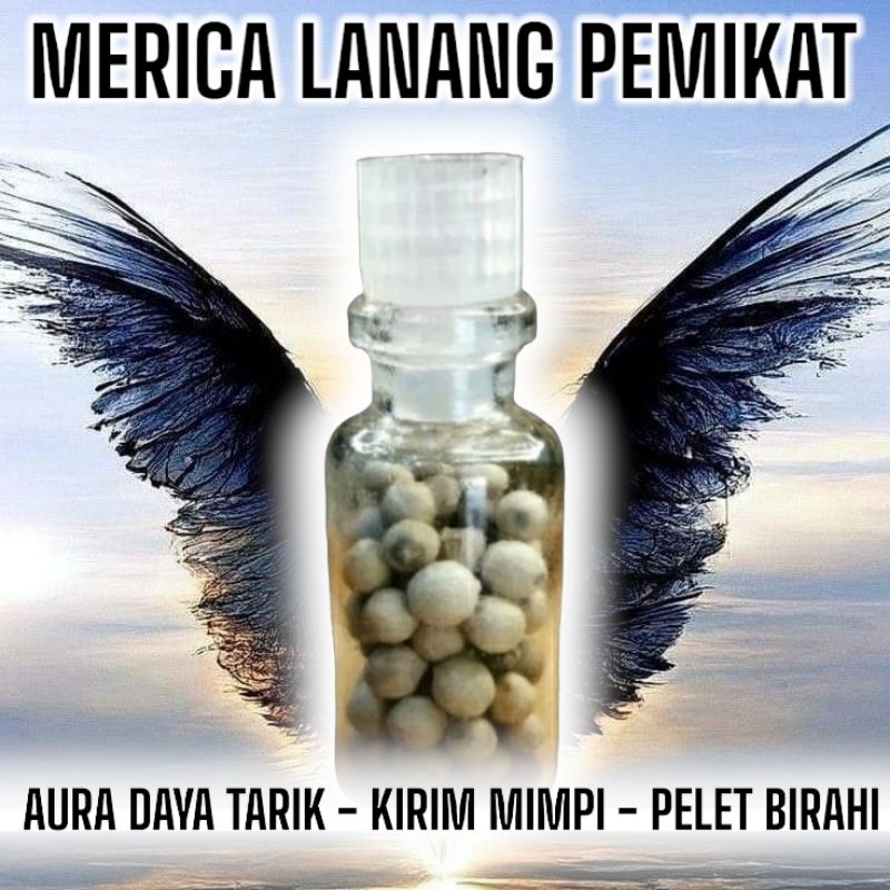 

( PROMO 11.11 ) MERICA BUKAN SEMBARANG MERICA