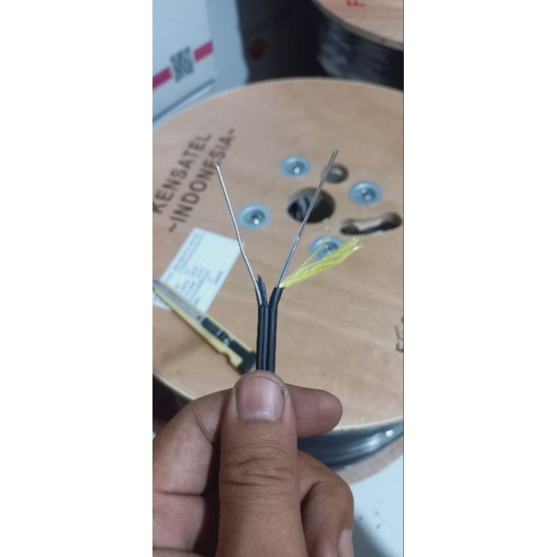 Fig8 6core Brend Kensatel