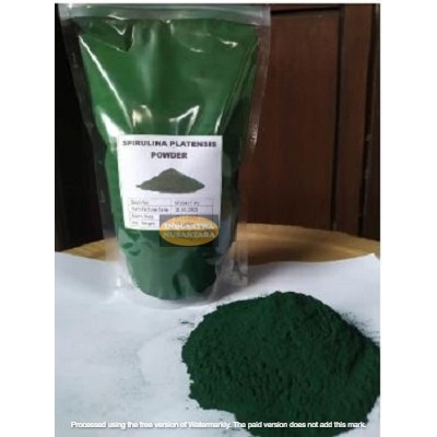 Spirulina Powder 500 gram | Spirulina Pakan Bubuk Pelet Ikan Organic | Spiriluna | Spirullina Plante
