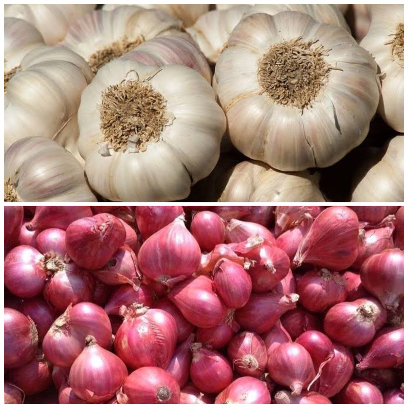 

BAWANG MERAH 1 kg BAWANG PUTIH 1 kg