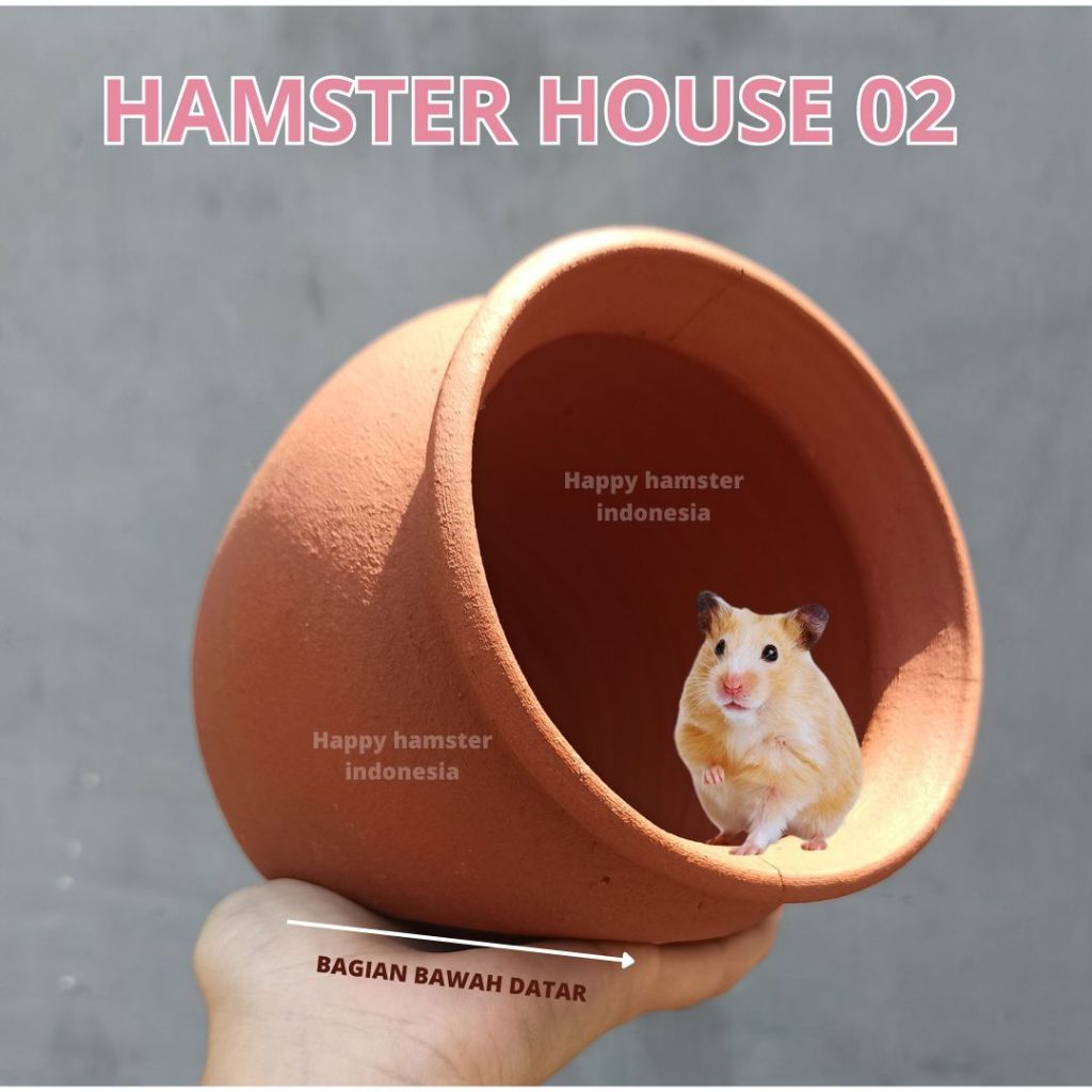 Rumah hamster gerabah jumbo | Hamster hideout | hamster house | rumah hamster landak mini reptile | 