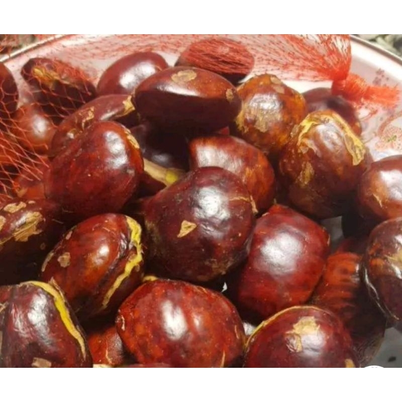 

jengkol 250g