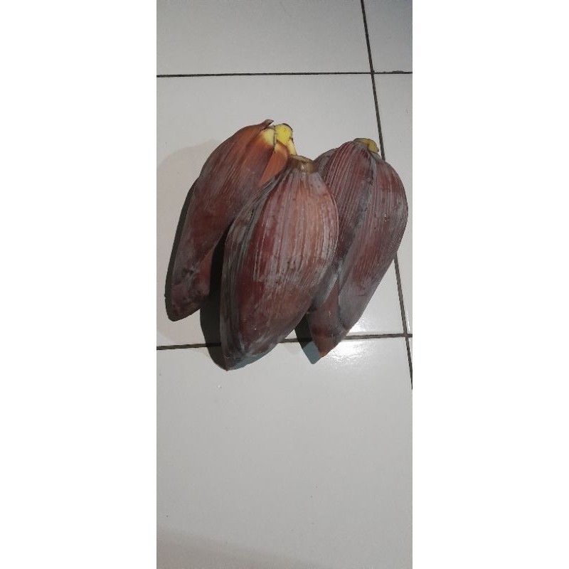 

Jantung Pisang