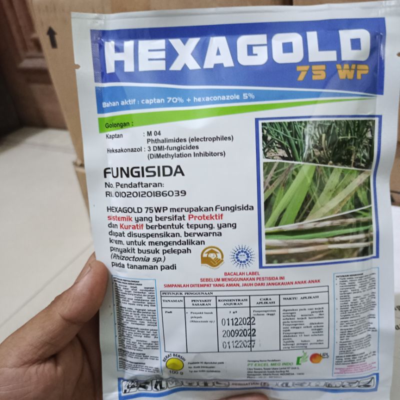 hexagold 75 wp 100gram fungisida sistemik cabai