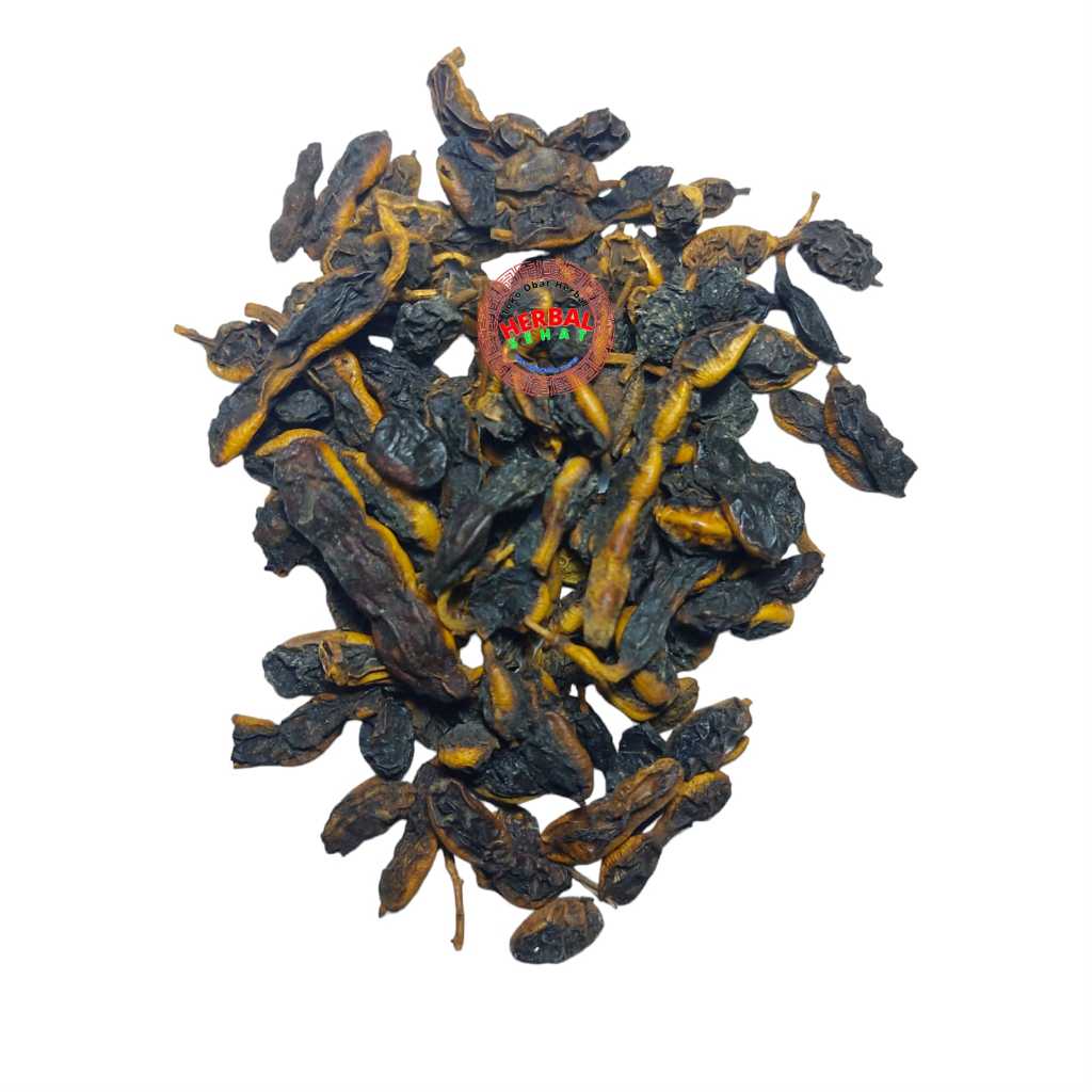 

Huai Jiao Zi 100gram Sophora Japonica, Biji, Polong, Lentera Sophora ,Jiulian, Tiandou, Kacang