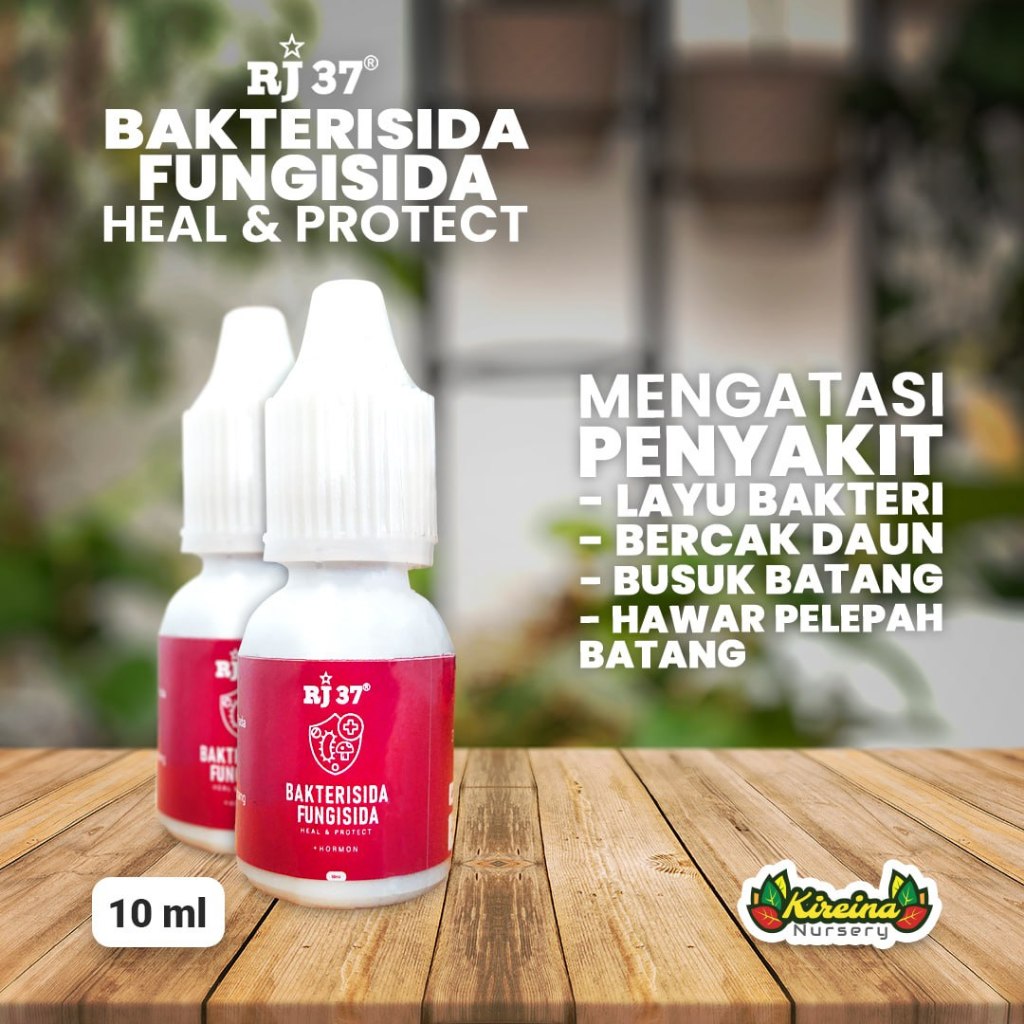 Bakterisida & Fungisida Organik RJ 37