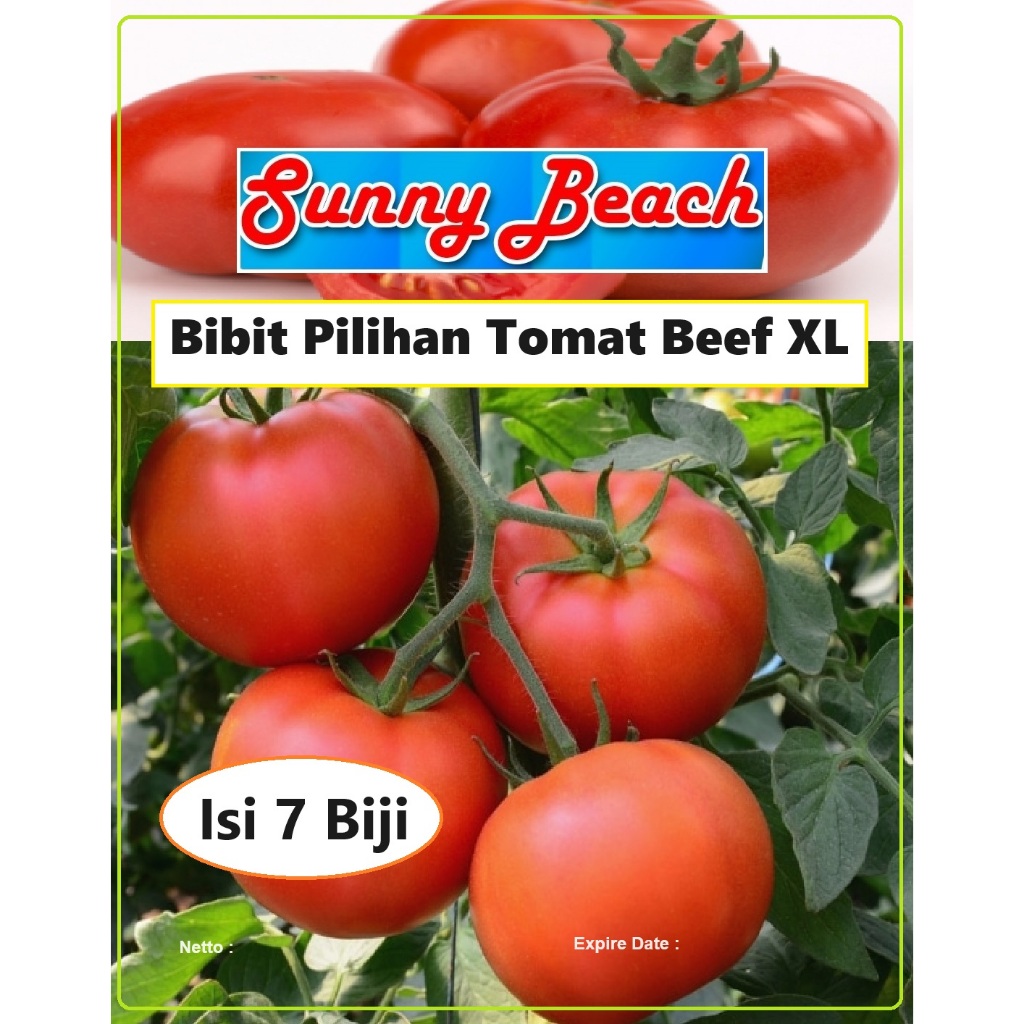 Bibit Pilihan Tomat Beef XL | Biji Benih Tomat Beef XL | Bibit Tomat