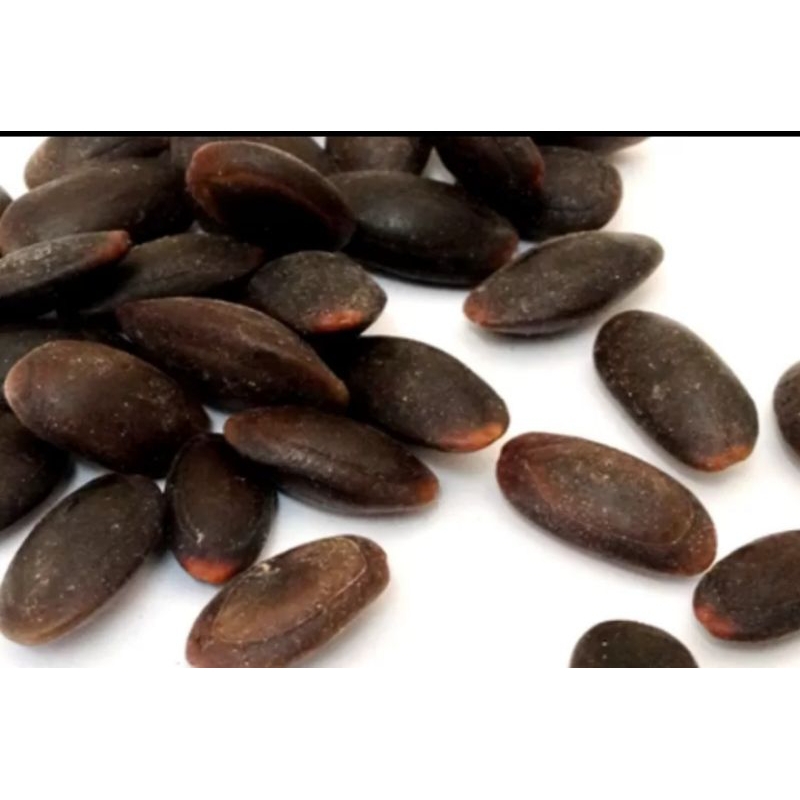 

Biji Kedawung Kering Asli Kualitas Premium