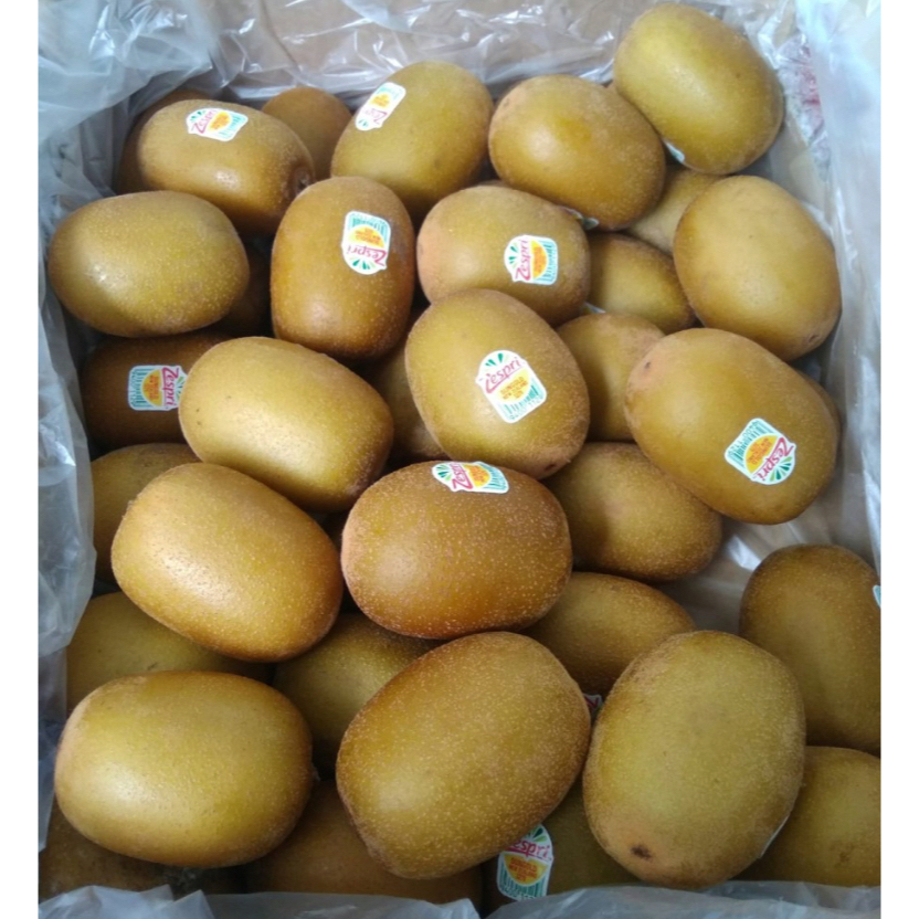 

Buah Kiwi Gold Emas Sungold Sangold Zespri New Zealand Fresh Import