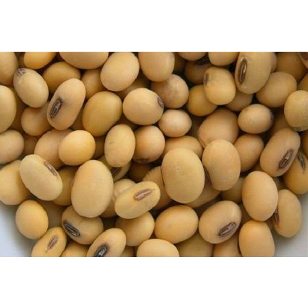 

kacang kedelai super 250gr