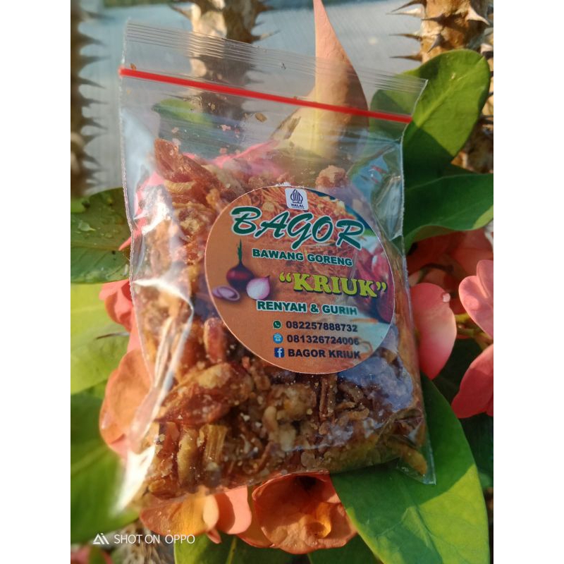 

Bawang Goreng kriuk 20g
