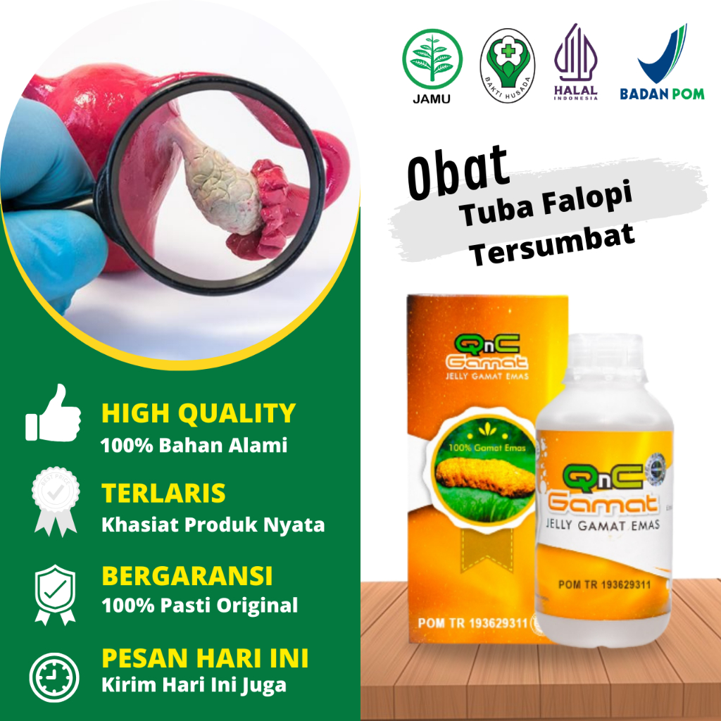 Obat Penyumbatan Tuba Falopi, Tuba Falopi Tersumbat, Tuba Falopi Tersumbat Non Paten, Saluran Indung