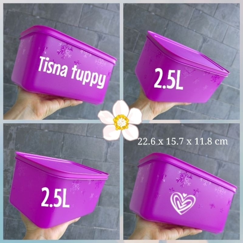 Frozy cozy 2.5 liter frozy cozy Tupperware