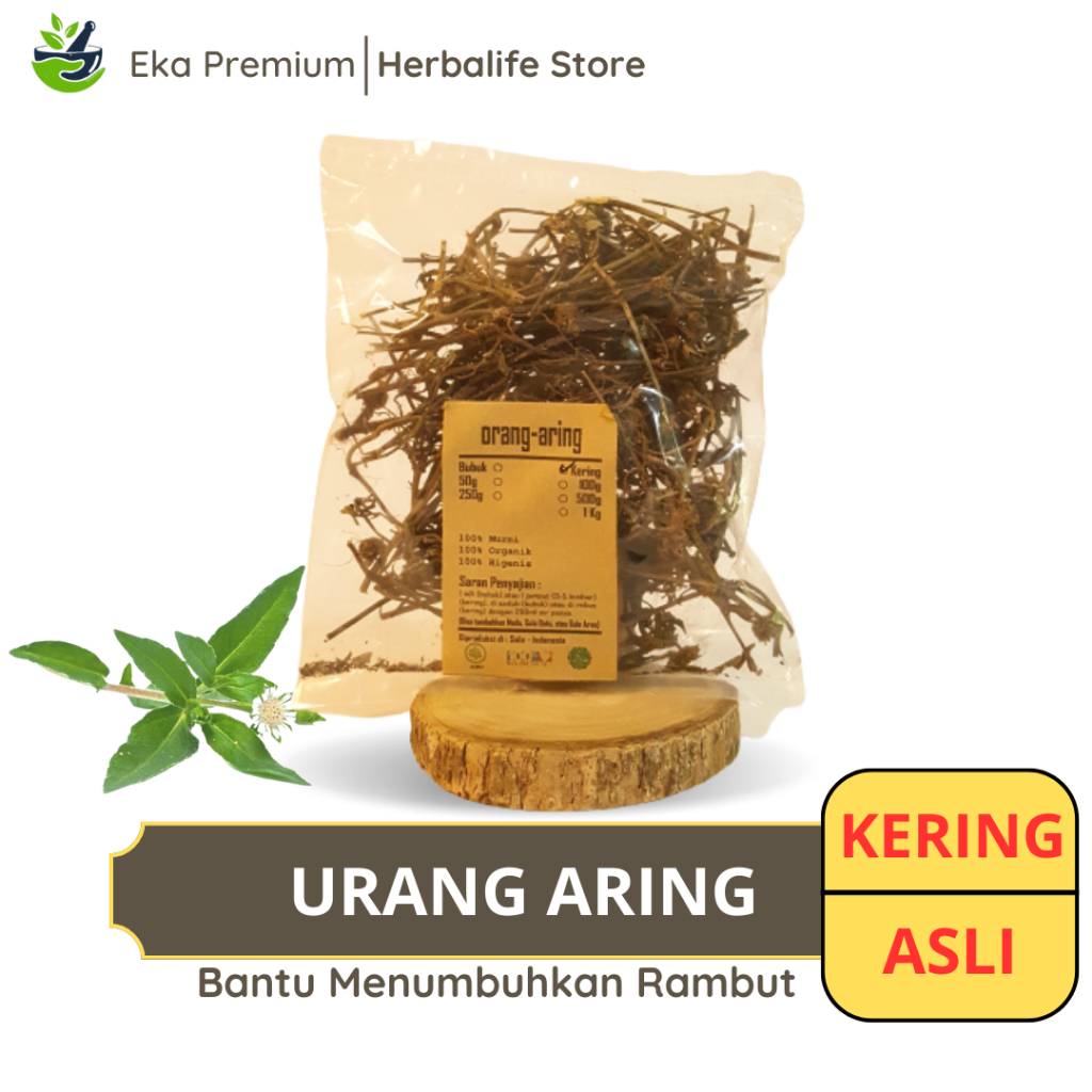 

URANG ARING KERING Ramuan Rempah Herbal Asli Jamu Minuman Alami Murni Tradisional Orang Aring Simplisia Eclipta Prostrata