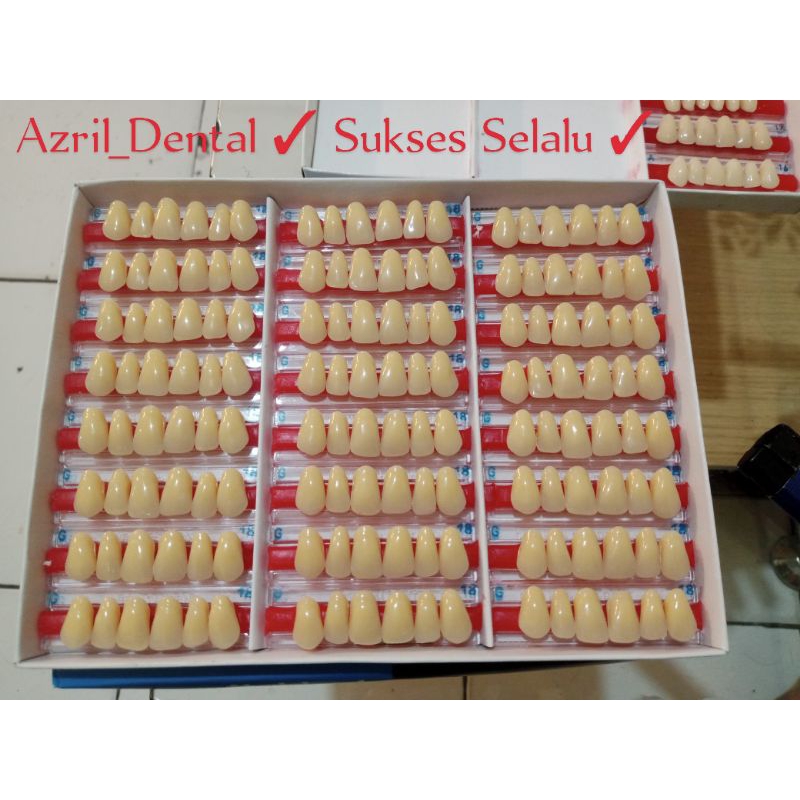 gigi palsu depan atas italdent