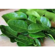 

DISKON!!!!!!!✅ DAUN JERUK SEGAR 1 KG