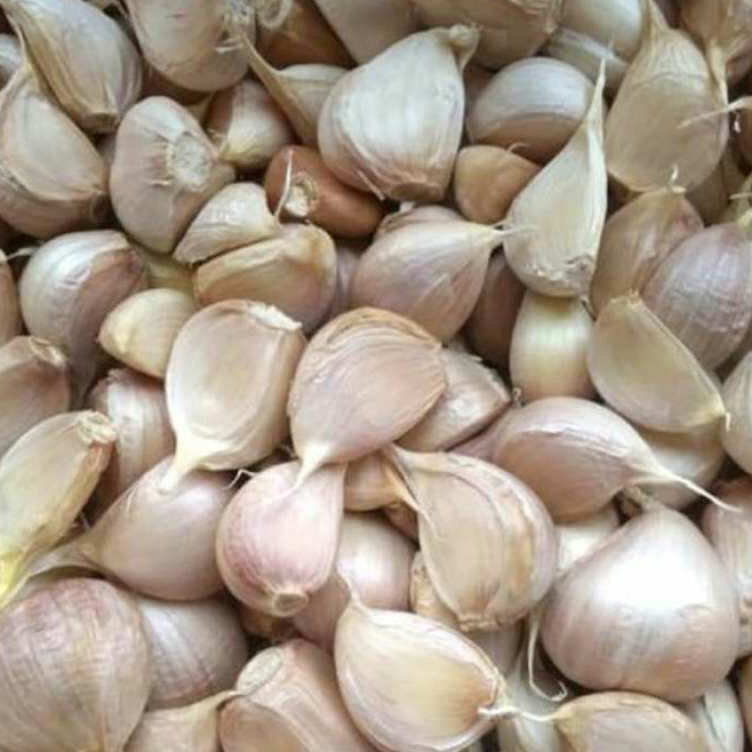 

DDXY7644 BAWANG PUTIH KATING /KG