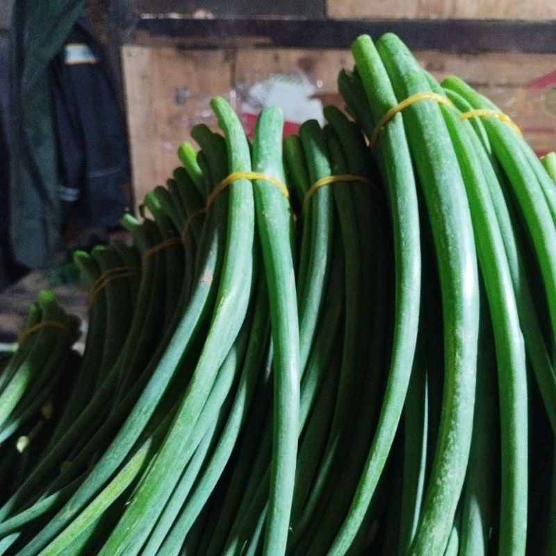

kembang tahu/kembang bawang/ulatet