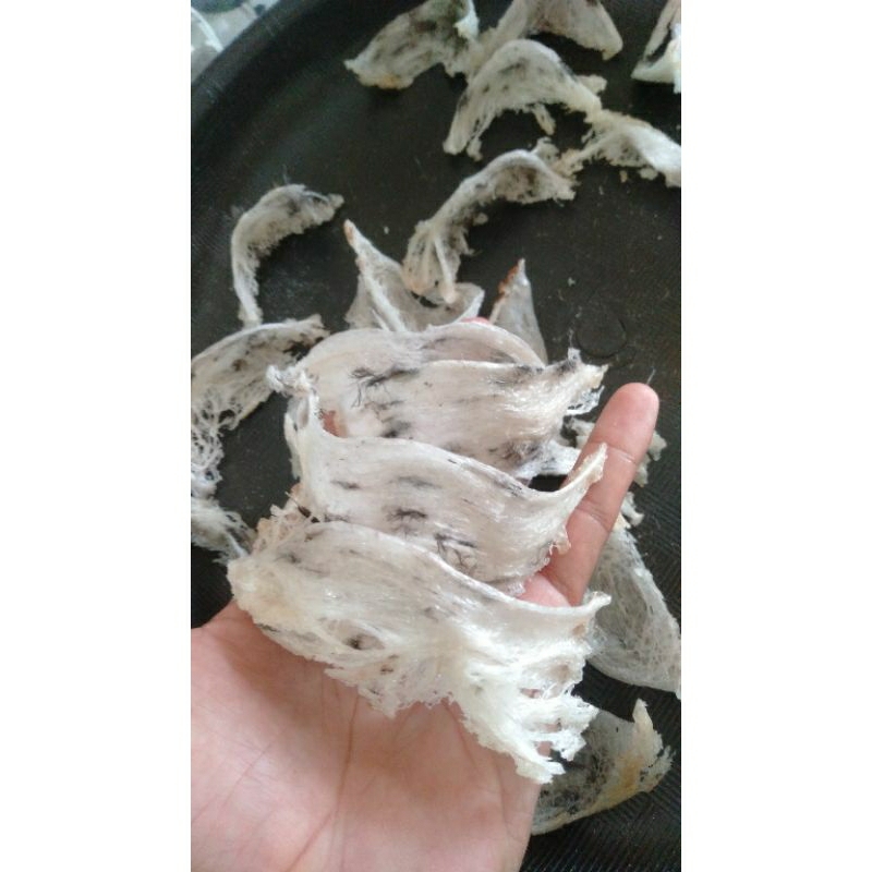 Sarang walet asli Kalimantan