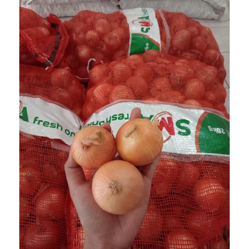 

Bawang Bombai Besar Murah bombay