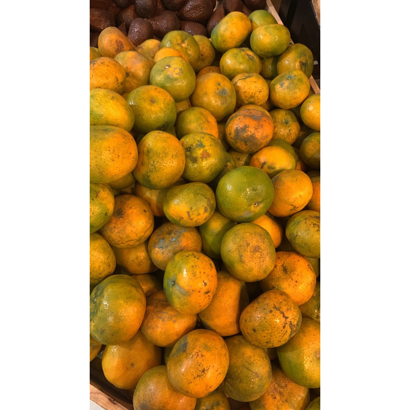 

Jeruk Madu Berastagi