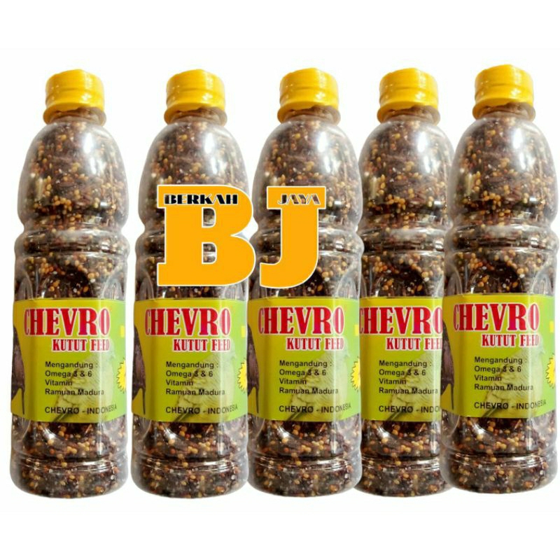 CHEVRO KUTUT FEED | MILET PERKUTUT | MILET JAWARA( KETAN HITAM)