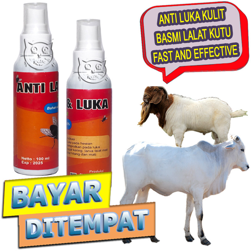 Anti Luka Lalat Spray Obat Infeksi Kulit Koreng Buduk Jamur Sapi Kambing Basmi Lalat