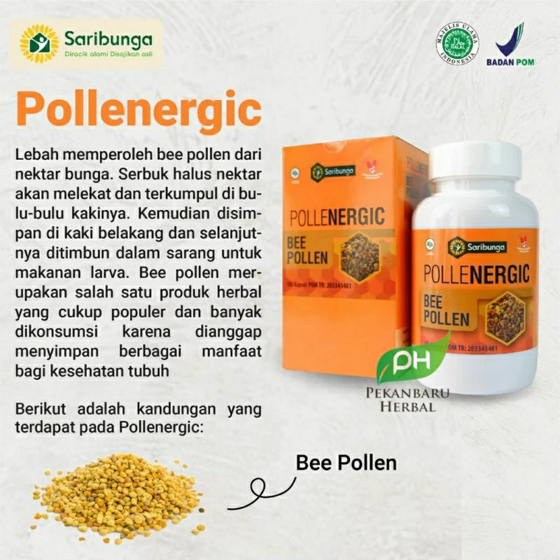 Pollenergic Nutrisi alami Antioksidan - Bee Pollen Kapsul - Bee Pollen