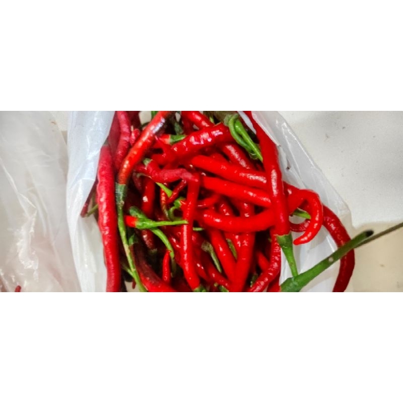 

Cabe Keriting Merah 500gr