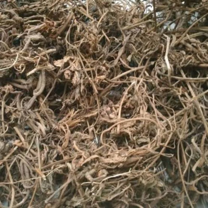 

Purwoceng (500 gram) / Purwaceng / Pimpinela Alpina Radix / Pimpinela Pruatjan