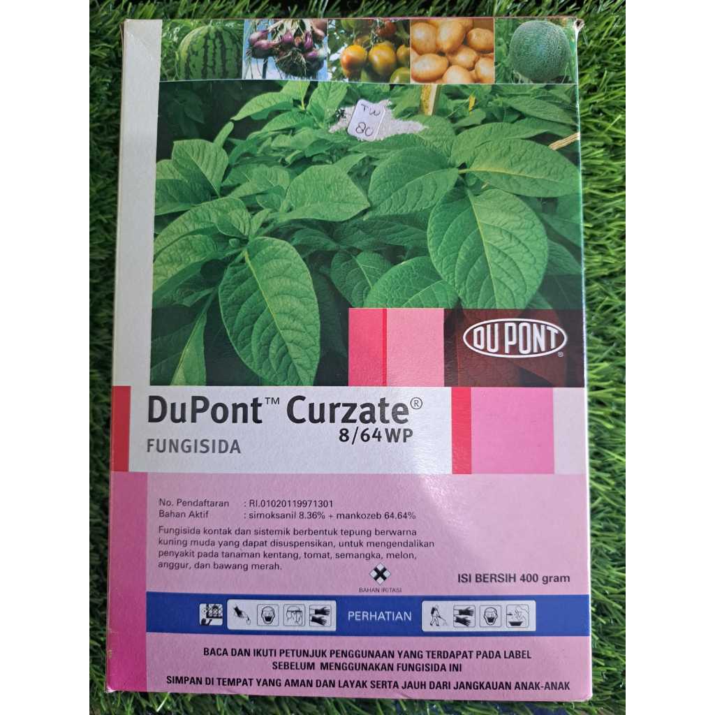 Fungisida DuPont Curzate 8/64WP