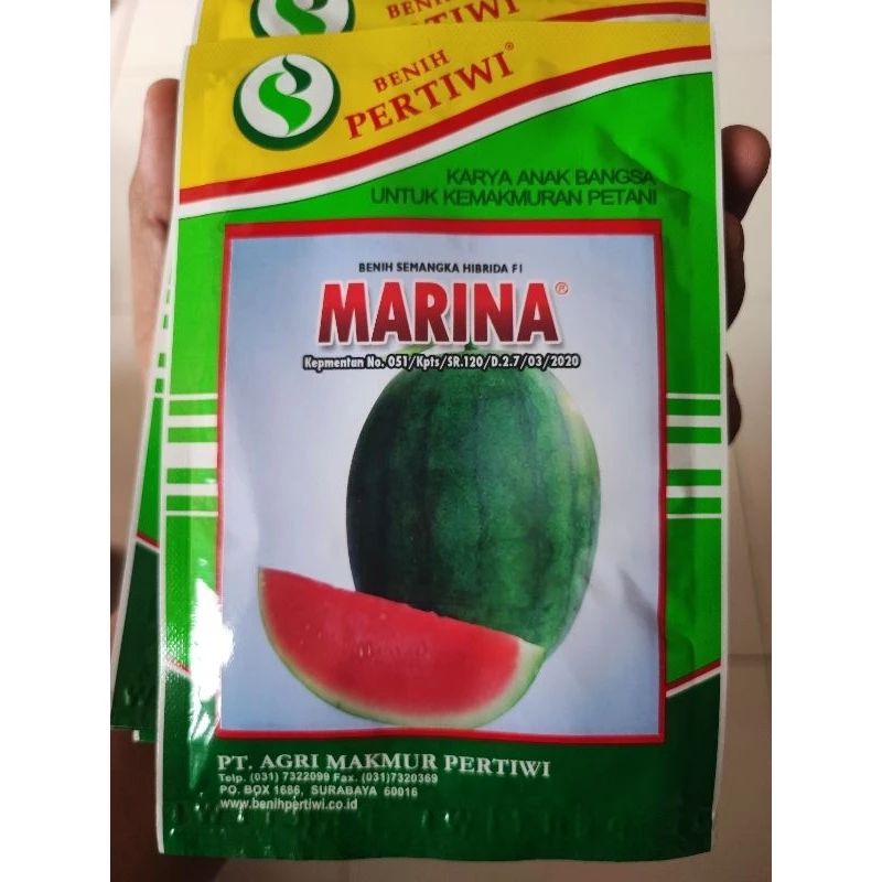 Benih Semangka Non biji Marina 20gr