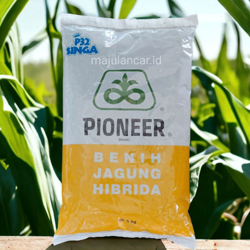 Benih Jagung Pioneer P32 Singa 5kg