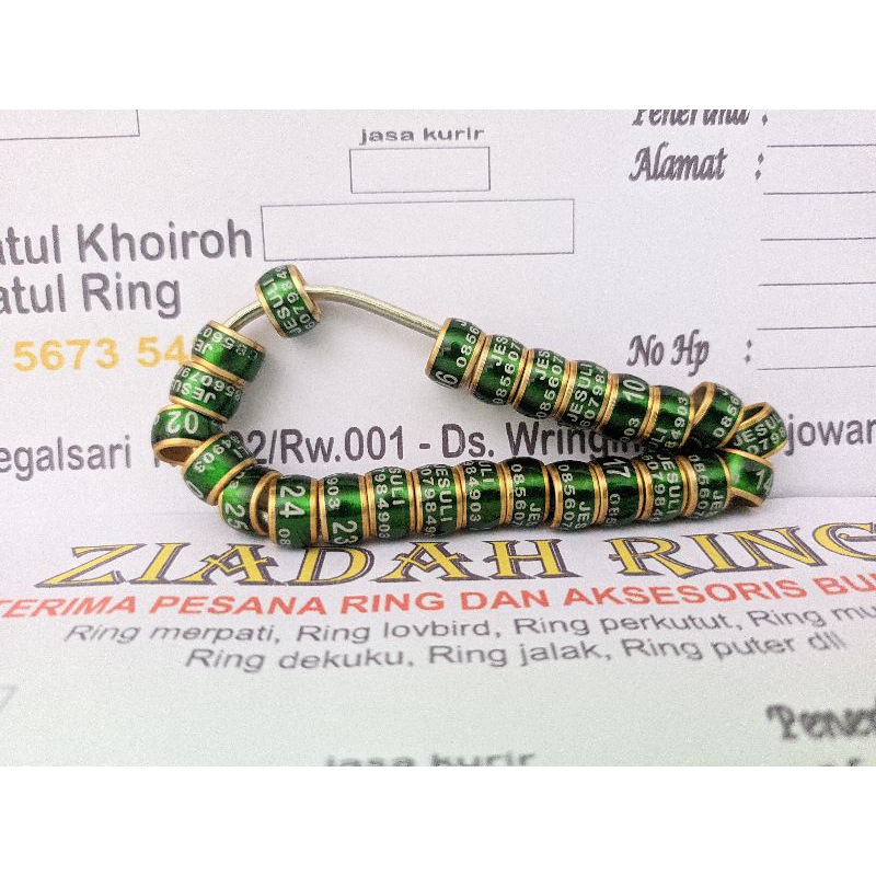 ring perkutut bisa bikin nama 10 biji merpati murai ring donat mk