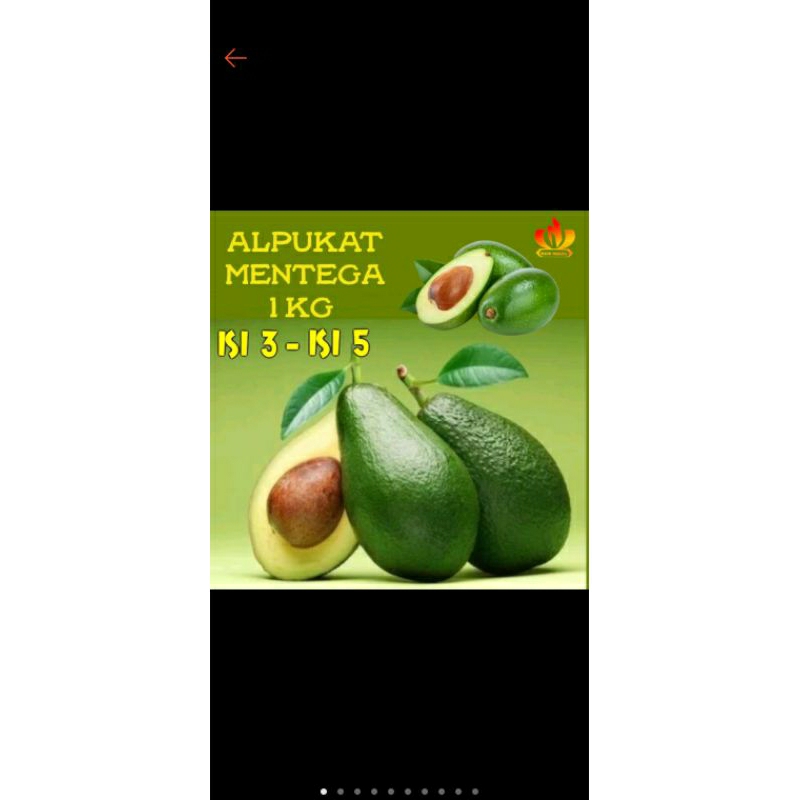 

alpukat segar 1kg/bonus