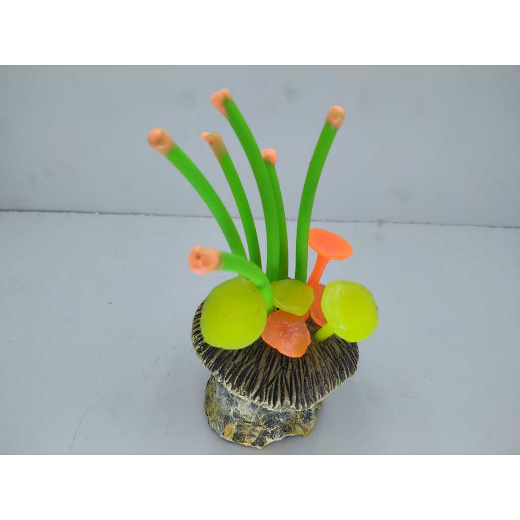 dekorasi aquarium jamur sungut warna, dekorasi aquarium jamur tanduk warna,  hiasan aquarium jamur, 