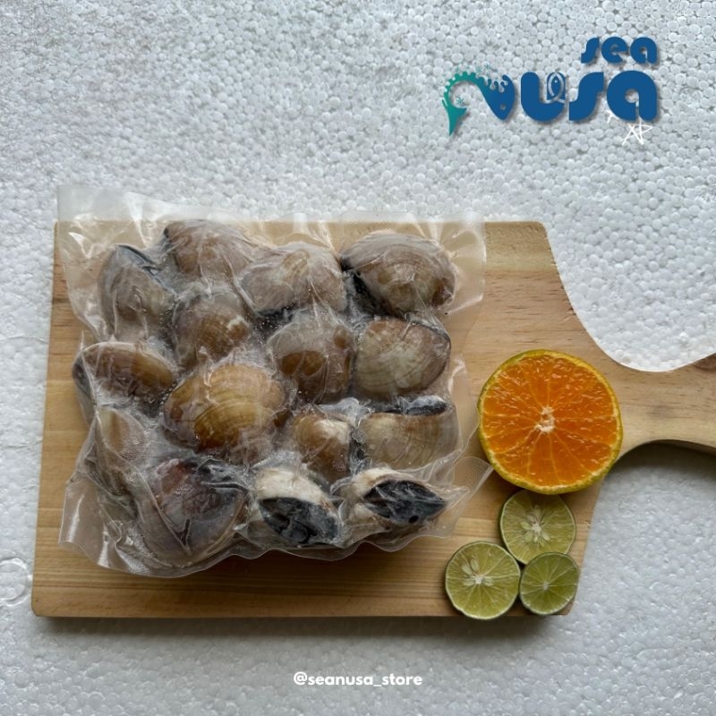 

Kerang Madu/Kerang Batik/Kerang Tahu 500g - 1kg