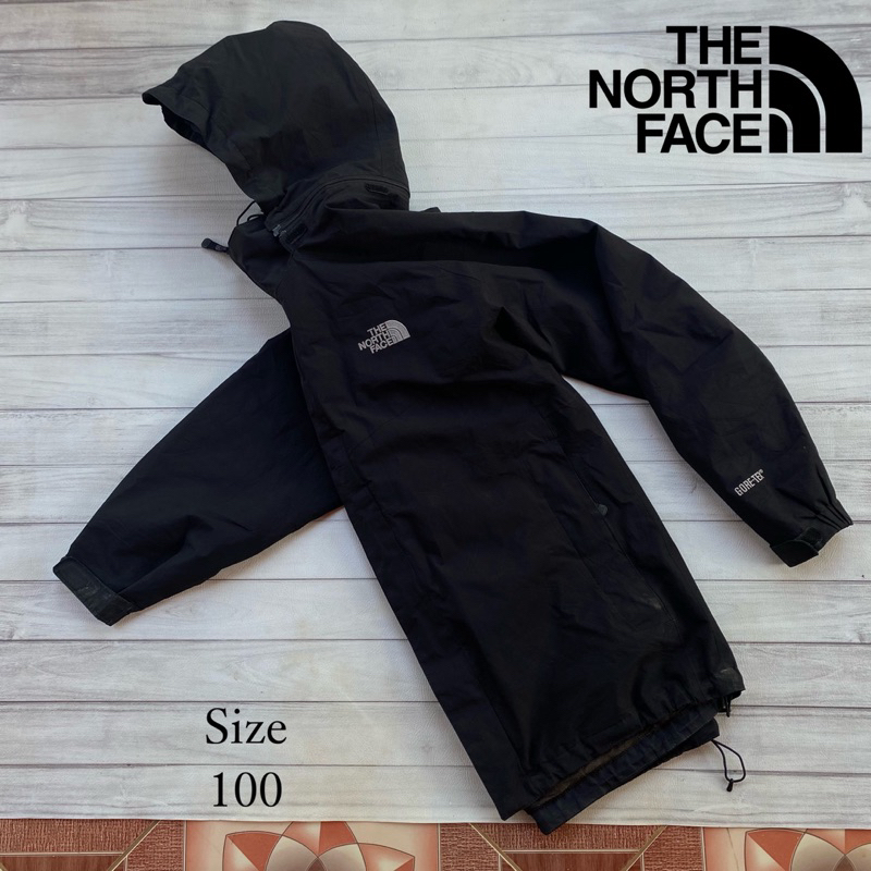 tnf goretex original