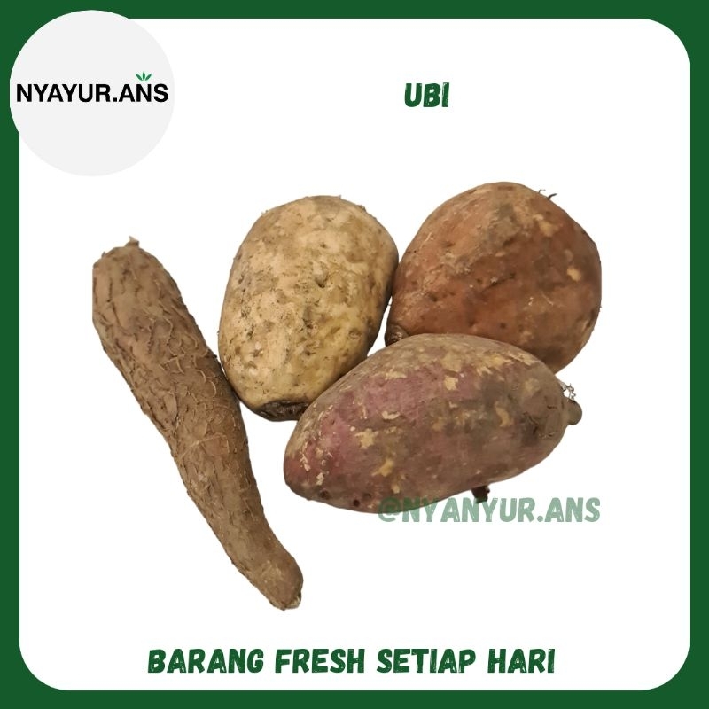 

Singkong/pohong atau tela / bolet berat 500 gram - Nyanyur.ans