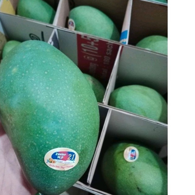 

buah mangga