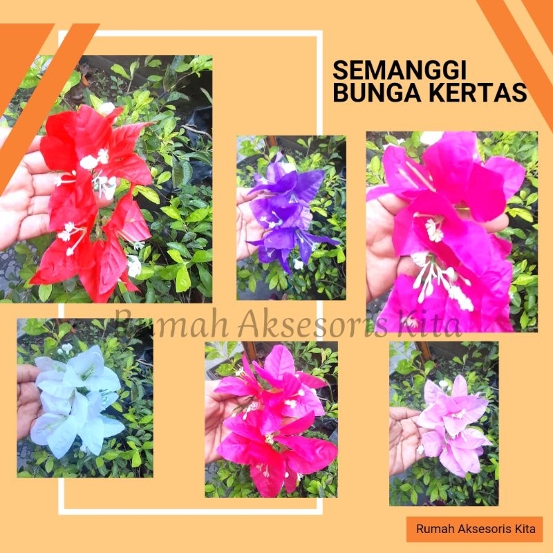 SEMANGGI BUNGA KEMBANG KERTAS