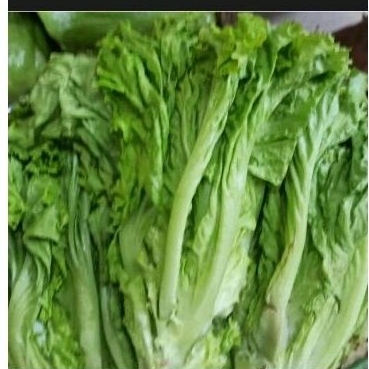 

Selada Bokor 500gr