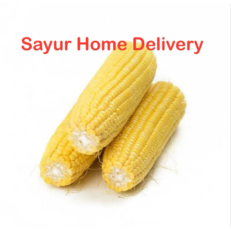 

SayurHD Jagung Manis 1 Buah