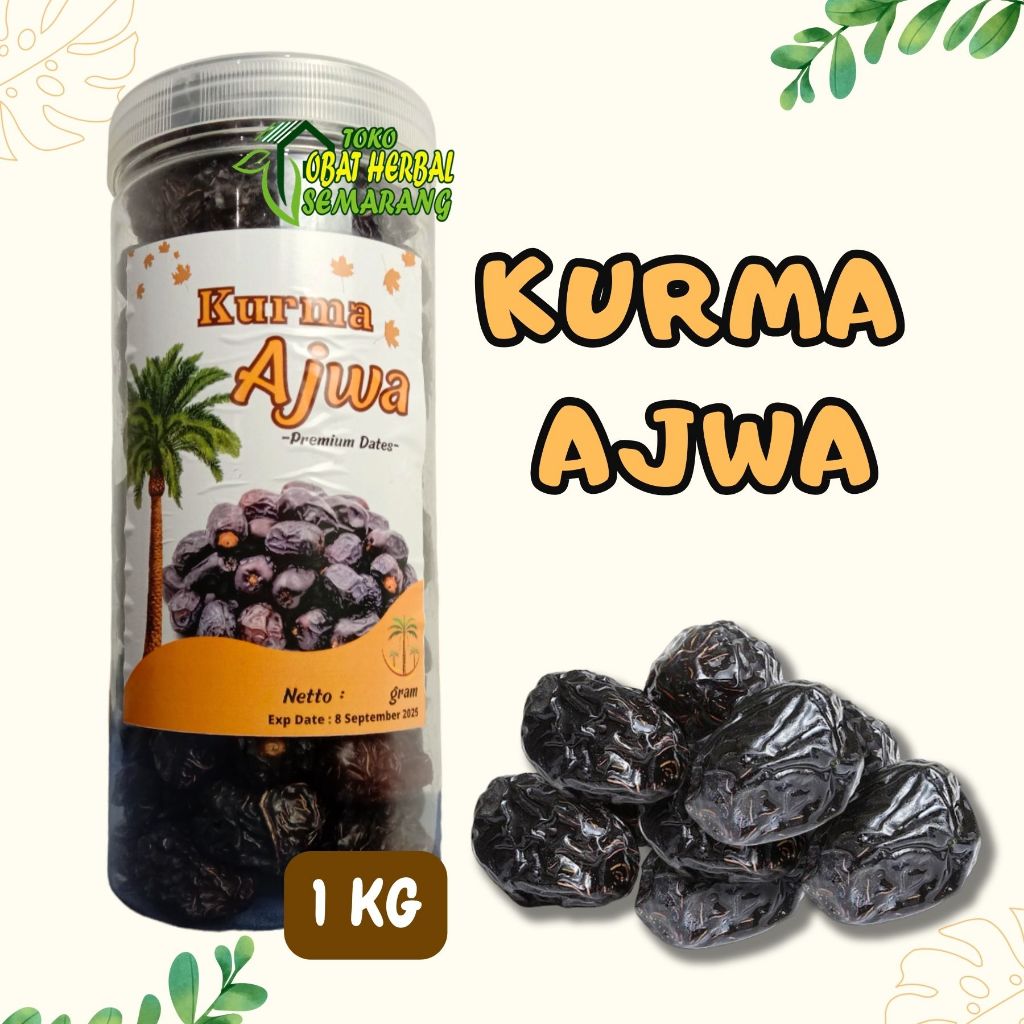 

Kurma Ajwa Kurma Nabi 1 Kg Asli Madinah Kurma Nabi Ajwa Premium Original Saudi Arabia Makanan Oleh Oleh Haji dan Umroh