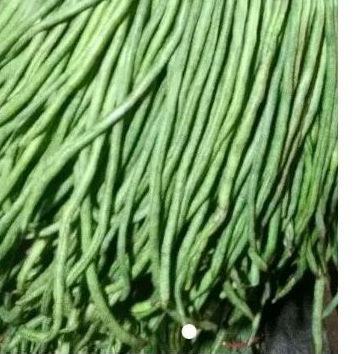 

Kacang Panjang 500gr