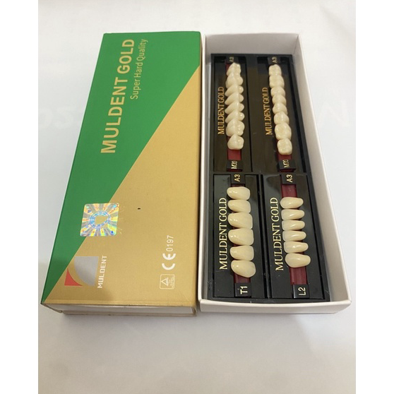 ↓➺✹ GIGI MULDENT GOLD FULLSET