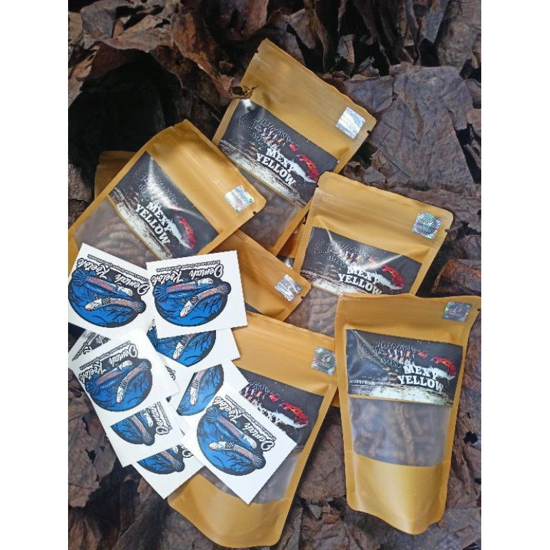 MEXY YELLOW ORIGINAL 55gr pertegas batik warna dan pemicu bunga pada marulioides free stiker