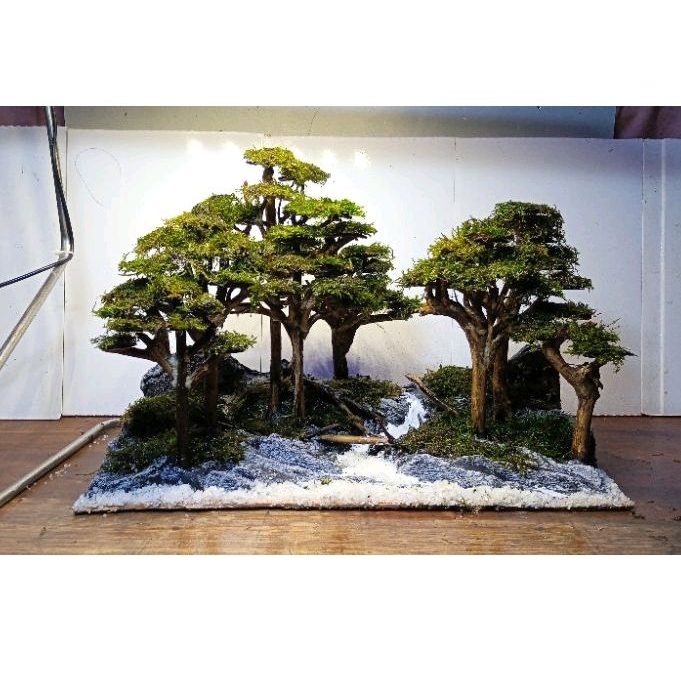 hardscape jungle 40 cm